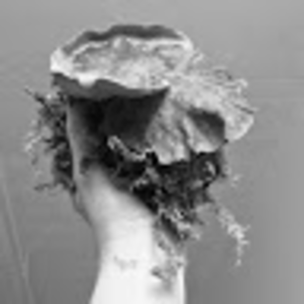 Meet your Posher, Lindsey